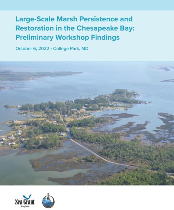 Large-Scale Marsh Persistence and Restoration in the Chesapeake Bay: Preliminary Workshop Findings report