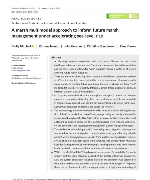 A marsh multimodel approach to inform future marsh management under accelerating sea-level rise report