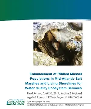 Enhancement of Ribbed Mussel Populations document image