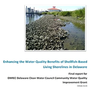 Enhancing the Water Quality Benefits of Shellfish-Based Living Shorelines in Delaware report