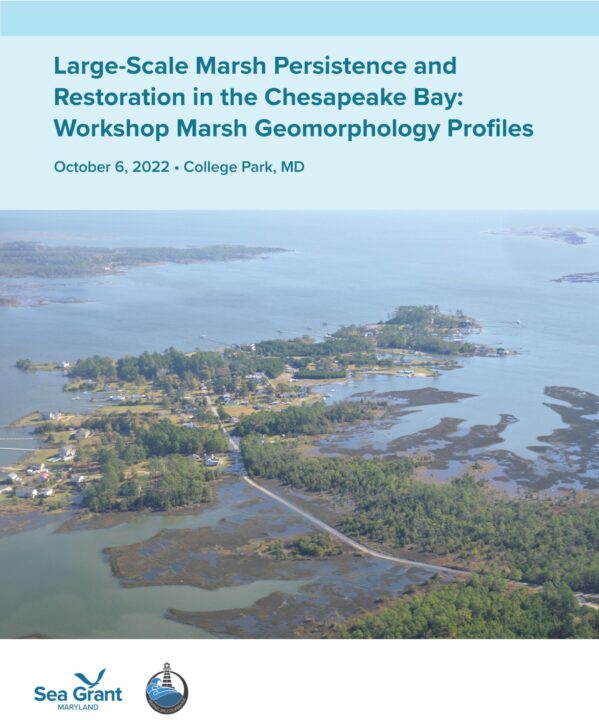 Large-Scale Marsh Persistence and Restoration in the Chesapeake Bay: Workshop Marsh Geomorphology Profiles report