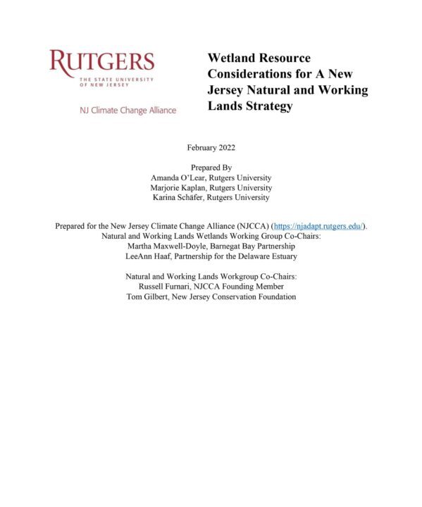 Wetland Resource Considerations for A New Jersey Natural and Working Lands Strategy (NJ Climate Change Alliance) report