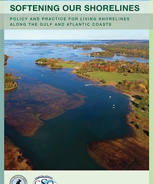 Softening Our Shorelines report