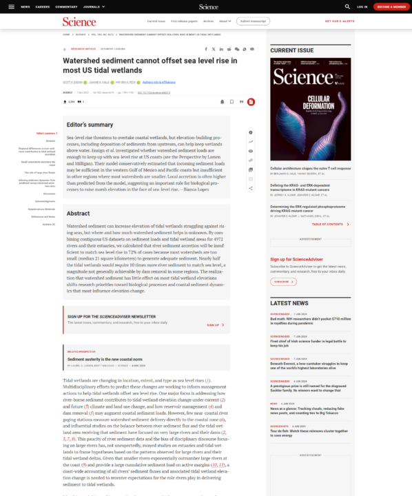 Watershed sediment cannot offset sea level rise in most US tidal wetlands report