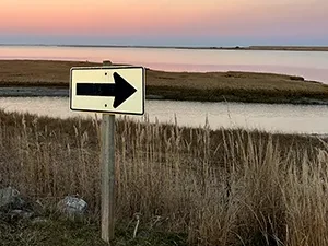 arrow sign in marsh